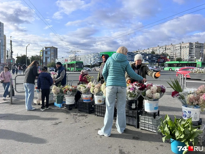 К 1 Сентября садоводы готовились  | Источник: Светлана Талипова