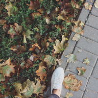 Аватарка Cezar