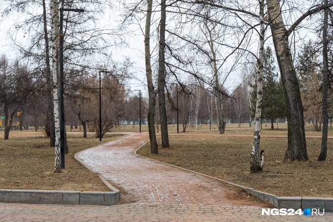Парк очень «лесной» | Источник: Мария Ленц / NGs24.RU