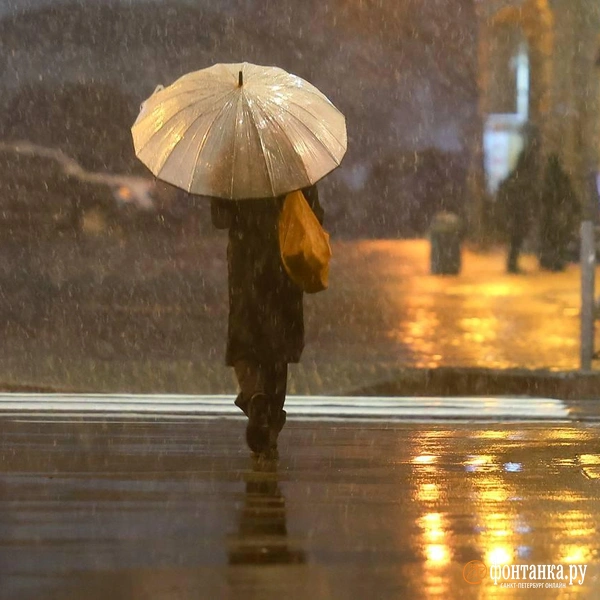 Источник: Дарья Драй / «Фонтанка.ру»