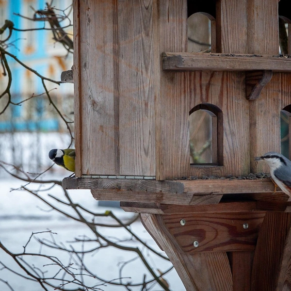 Источник: ГМЗ «Царское Село»