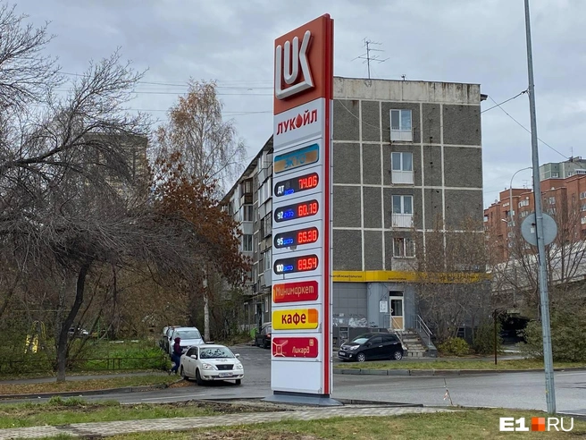 Цены соответствуют средним показателям по городу | Источник: Ирина Порозова / E1.RU