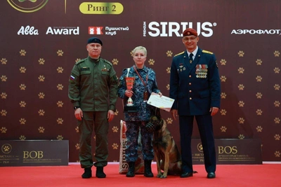 Бельгийская овчарка и кинолог из Кургана победили в Москве