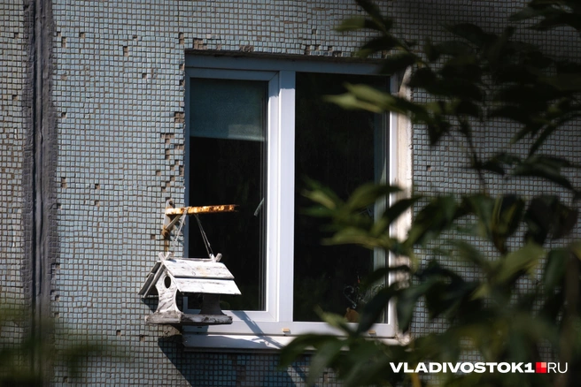 Даже душный человейник не помешает быть ближе к природе | Источник: Елена Буйвол / VLADIVOSTOK1.RU