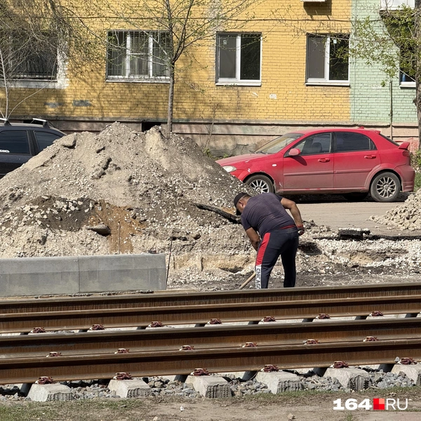 Источник: Сергей Петунин / 164.RU