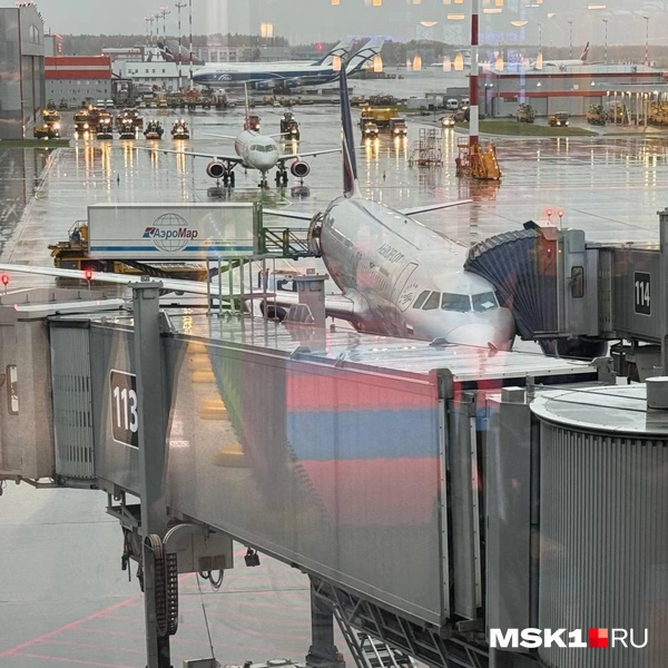 Источник: Читатель MSK1.RU