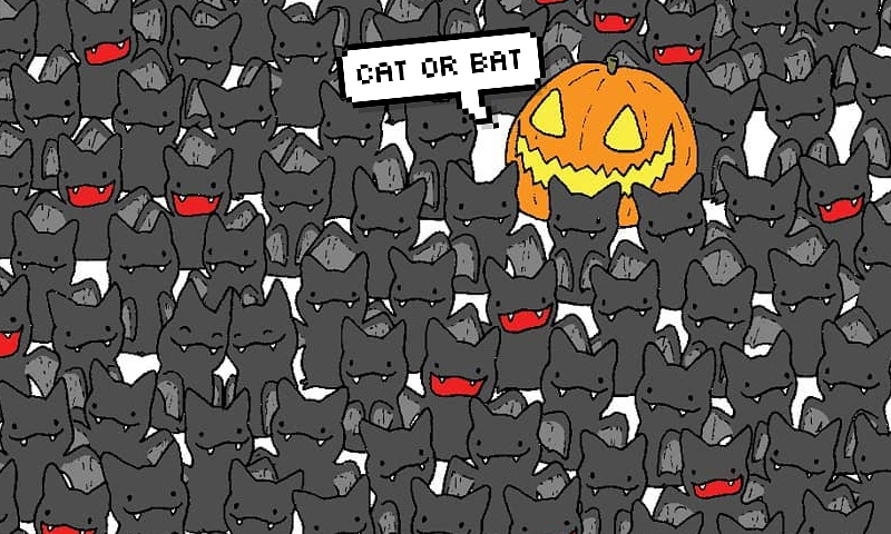 Тест на глазастость: сможешь найти кошку среди летучих мышей на этой  картинке? | theGirl