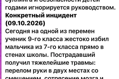Полиция проверяет драку в школе, о которой узнала Мизулина