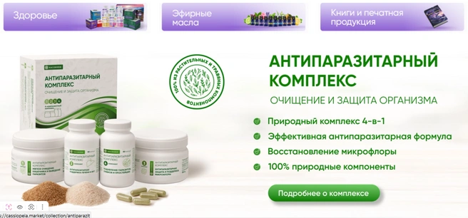 Такие товары продает проект | Источник: Кассиопея.Маркет