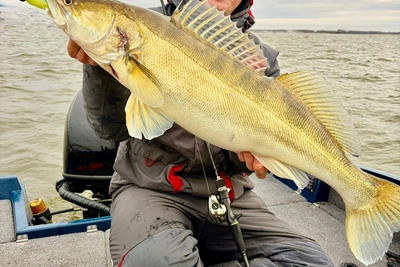 Рыбак из Волгограда уговорил судака на поклёвку