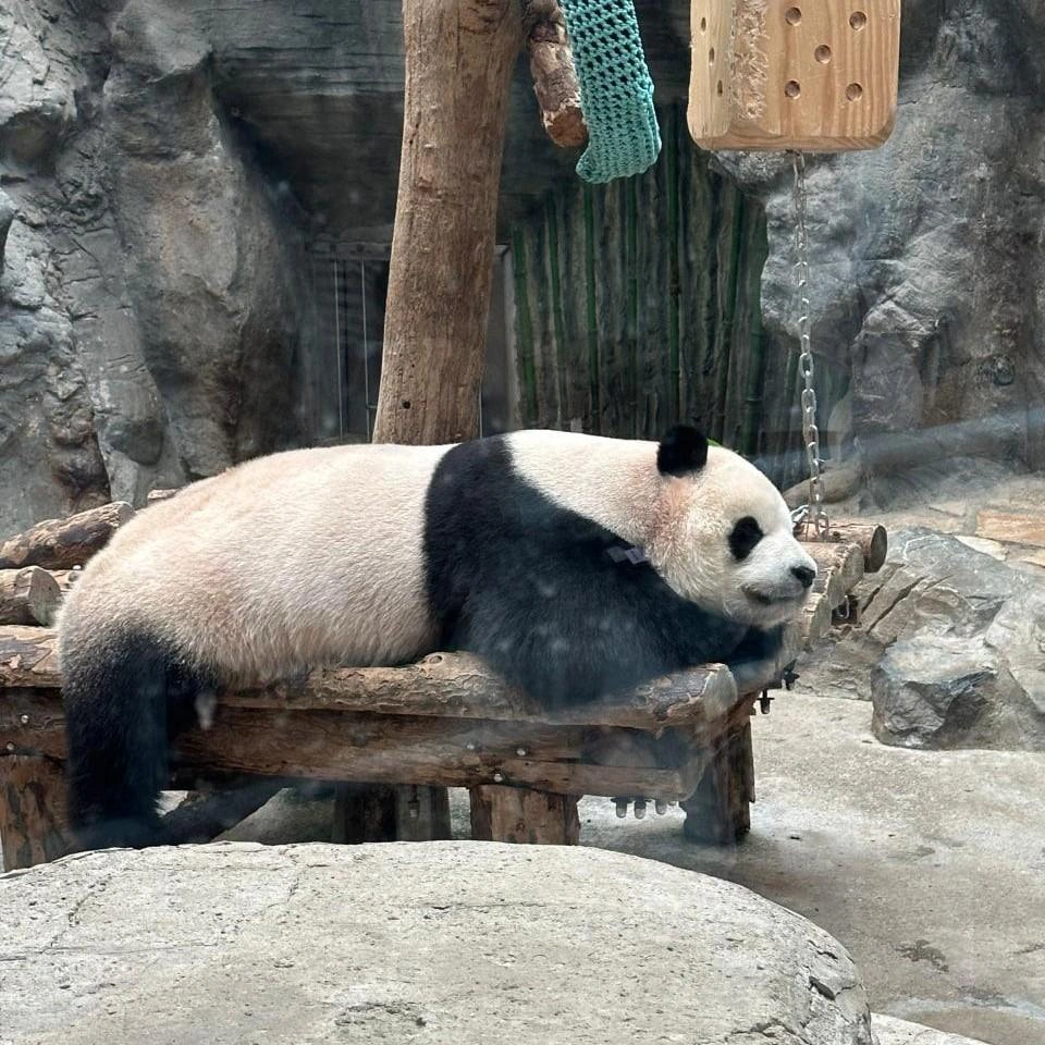 Источник: Наталия Степанова / Личный архив