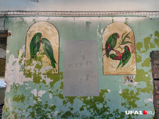 Попугаи | Источник: Булат Салихов / UFA1.RU