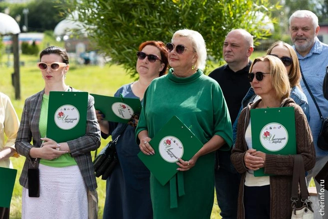 Источник: st.cherinfo.ru