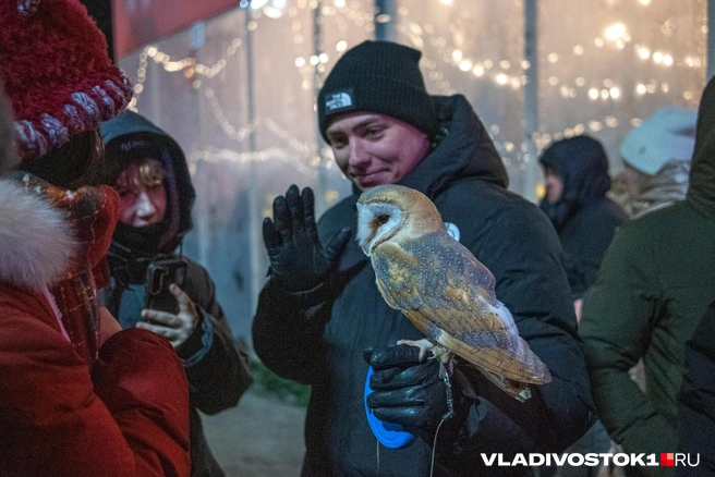 Источник: Елена Буйвол / VLADIVOSTOK1.RU