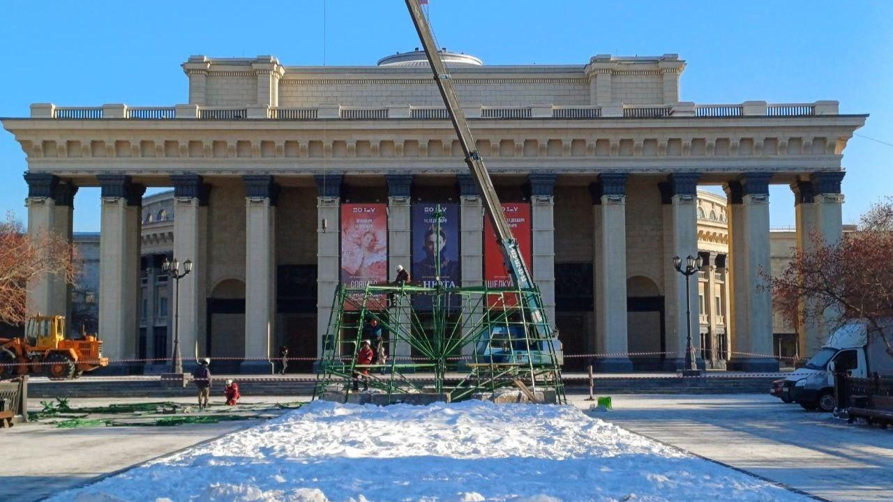 В центре Новосибирска начали устанавливать новогоднюю елку — фото