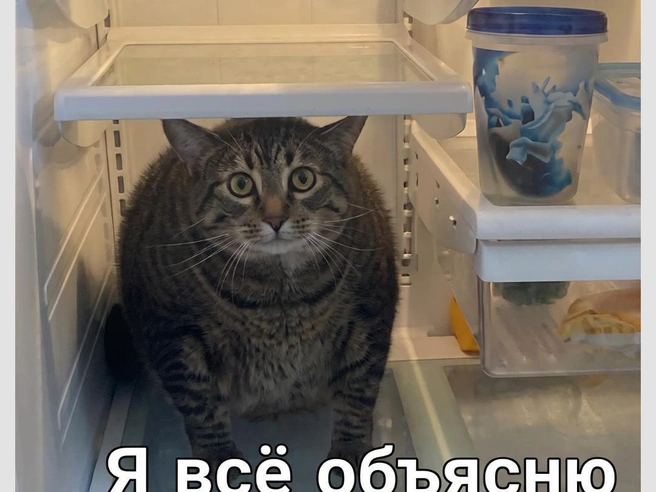 Ваши версии? | Источник: Городские медиа