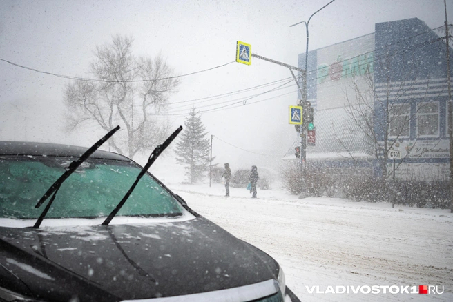 Источник: Елена Буйвол / VLADIVOSTOK1.RU