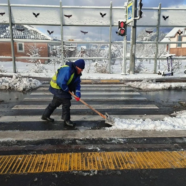 Источник: Комитет по благоустройству Петербурга