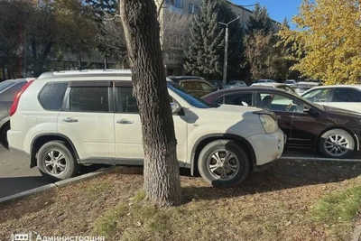 Штрафы за парковку на газонах в Благовещенске превысили 120 тысяч рублей