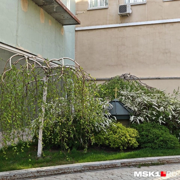 Зеленая территория дворика у храма | Источник: Анастасия Харитонова / MSK1.RU