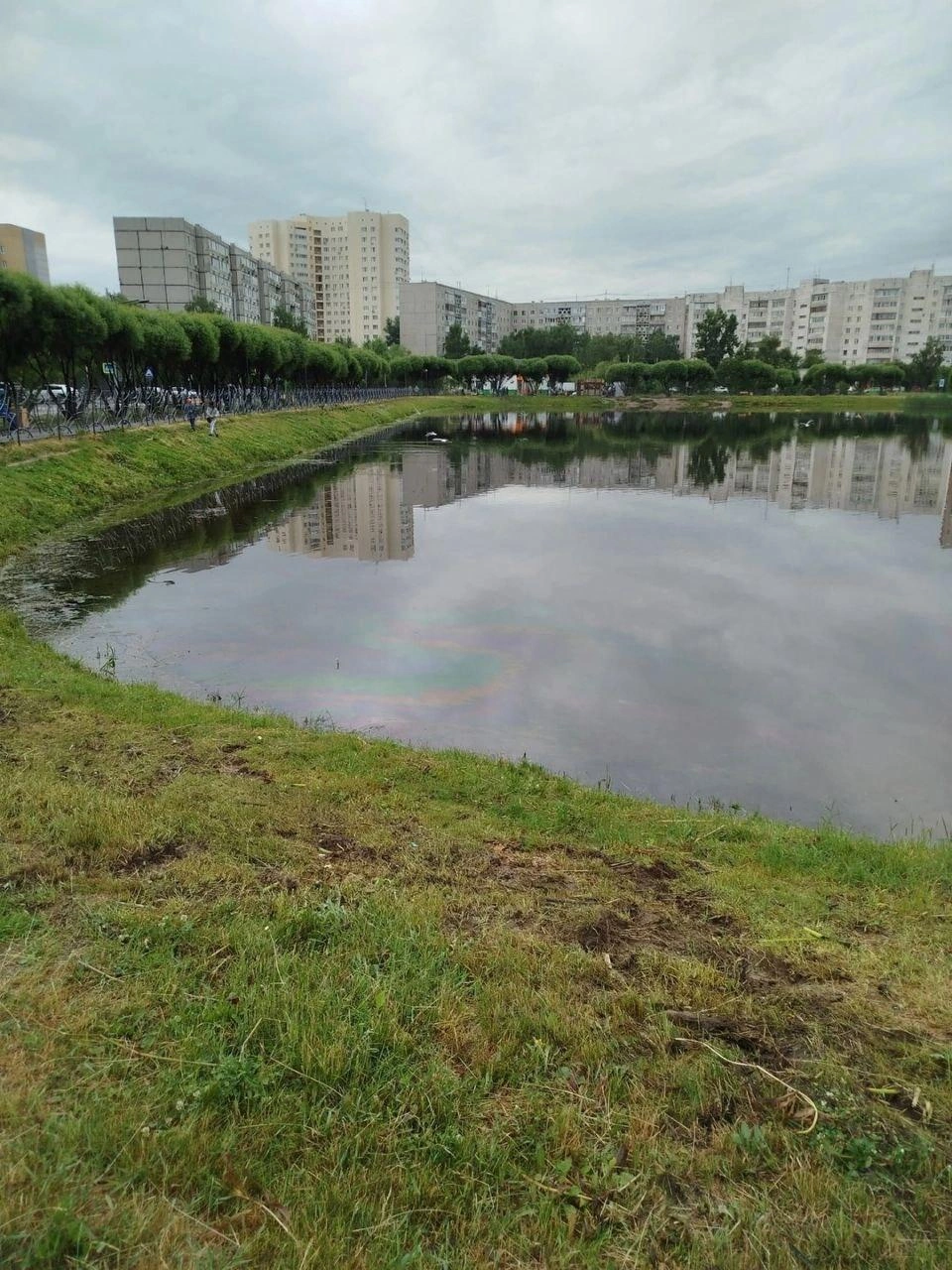 Посмотрите на воду: видны следы от масла  | Источник: читатель 72.RU 