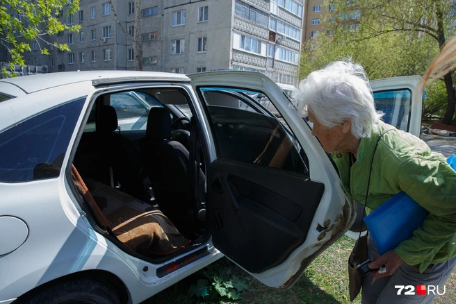 На сиденье&nbsp;— покрывало. Там спит Пират | Источник: Ирина Шарова / 72.RU 