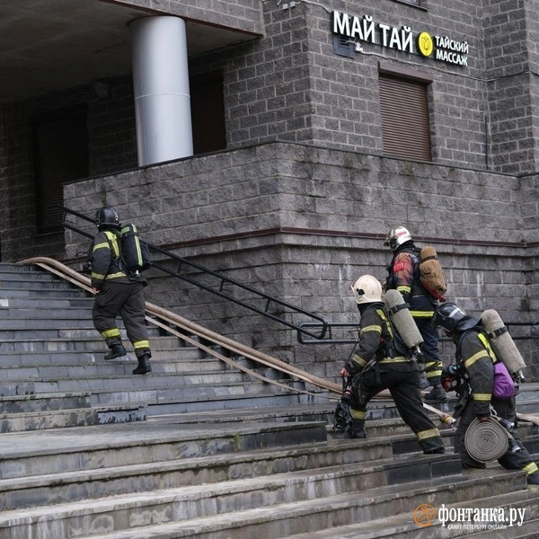Источник: Анжела Мнацаканян / FONTANKA.RU