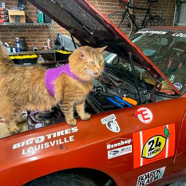 Источник: соцсети