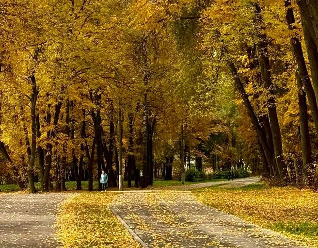 Центральный парк им. П.&nbsp;П.&nbsp;Белоусова | Источник: Алена Мельникова