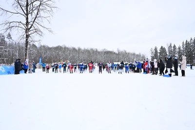 Более 2000 участников на Лыжне России в Псковской области