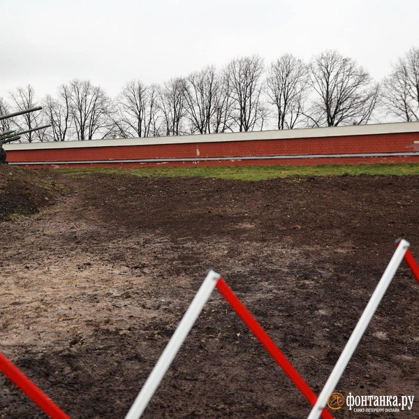 Источник: Сергей Михайличенко / «Фонтанка.ру»