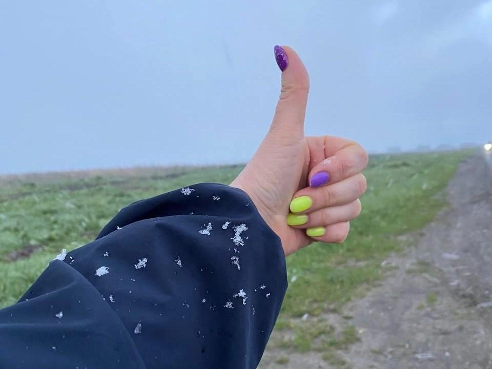 Посмотрите, какие хлопья снега (и это в мае) | Источник: Ольга Курочкина