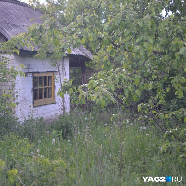 Кто-то давно забросил свои огороды | Источник: Светлана Коновалова / YA62.RU