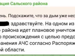 Источник: Администрация Сальского района / Telegram.org