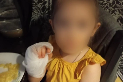 4-летняя девочка порезала руку в костюме медведя в Екатеринбурге