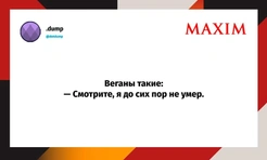Самые смешные шутки пятницы и «игристый прогулочный променад»