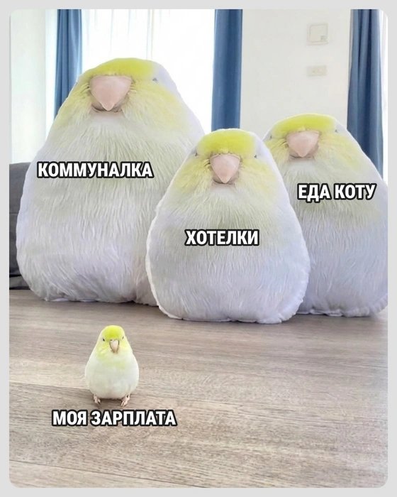 А как жить по средствам?  | Источник: Городские медиа