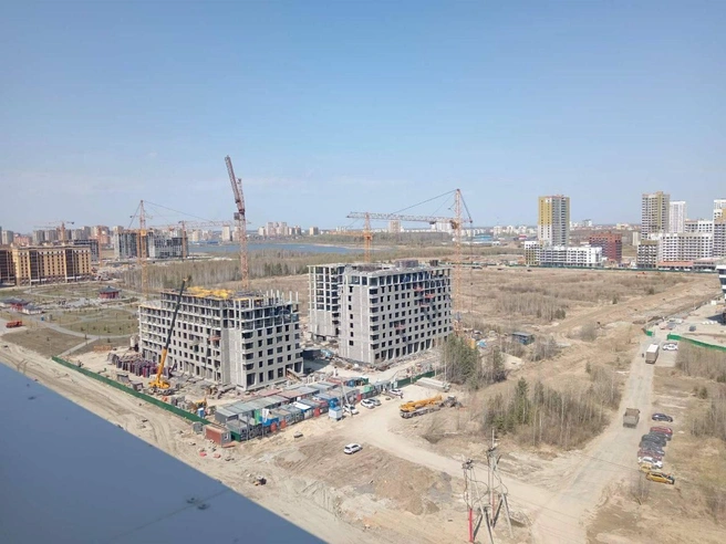 Выбор Дарьи пал на ЖК Life Residence&nbsp;— он находится по соседству с Парком российско-корейской дружбы | Источник: из личного архива героини публикации