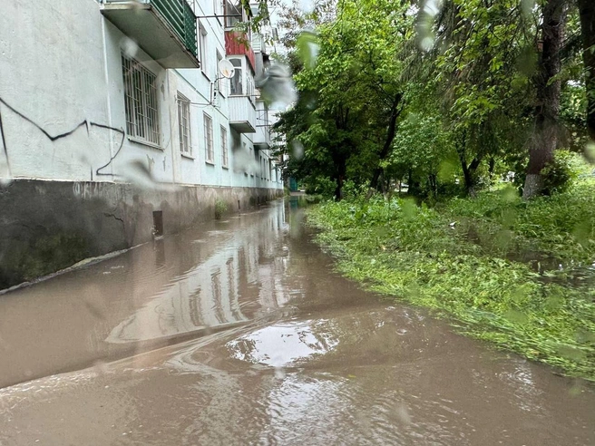Кадры одного из домов | Источник: Владимир Крутников.
