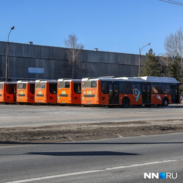 Источник: Наталья Бурухина / NN.RU