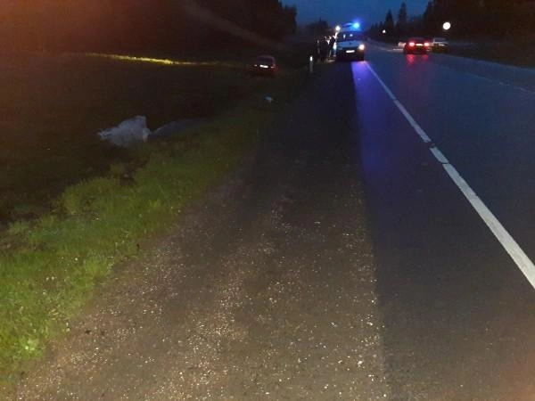 Источник: «ДТП и ЧП Санкт-Петербург»/vk.com