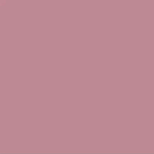 Источник: Pantone.ru
