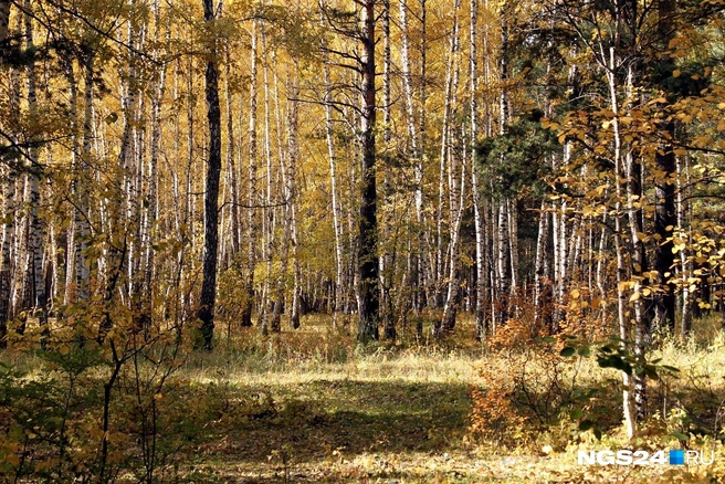 Мужчина сошел с туристической тропы и заблудился | Источник: Анастасия Станишевская