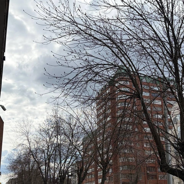 В Уфе +16 градусов | Источник: Городские медиа