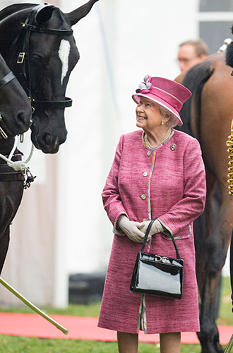 Королева ипподрома: как Елизавета II зарабатывает на скачках (и сколько она уже выиграла)