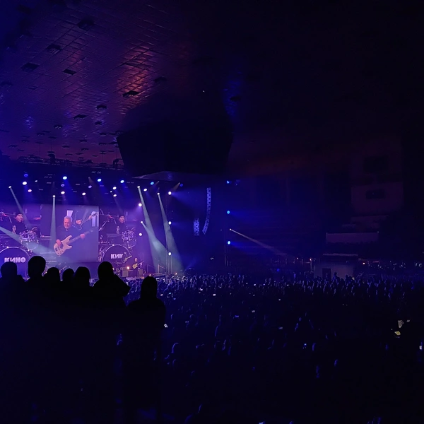 Концерт | Источник: Сергей Гендин / 164.RU