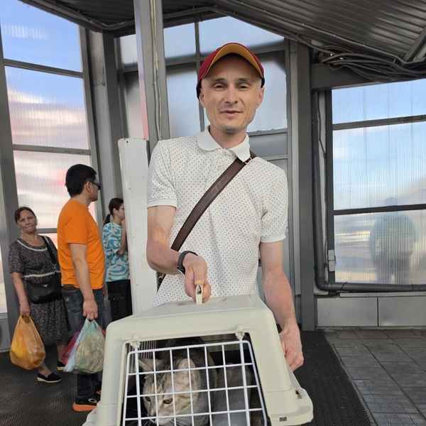 …так и уже взрослых кошек | Источник: Группа «Монастырские кошки. Помощь животным» / vk.com/pomojem_koshkam