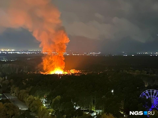 Инцидент произошел 23 сентября  | Источник: Читатель NGS.RU