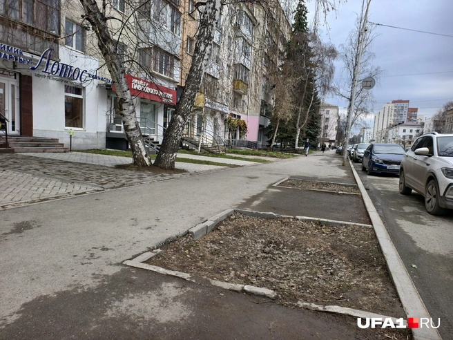 В прошлом году деревья порубили на другой стороне улицы | Источник: Булат Салихов / UFA1.RU