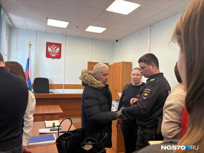 На Владимира Вакса надели наручники | Источник: Мария Лобанова / NGS70.RU